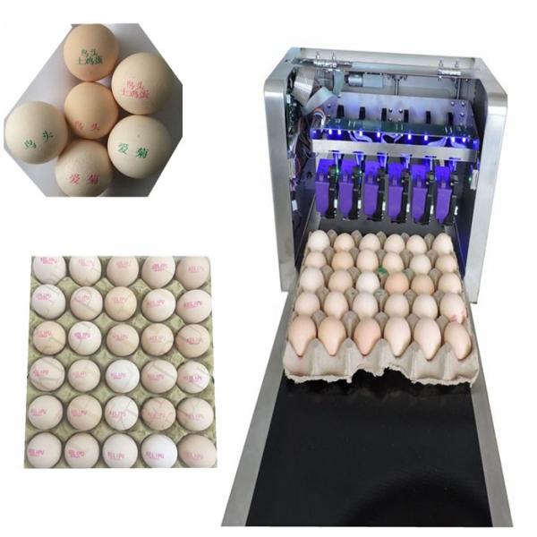 Intelligent Automatic Inkjet Marking Machine For 30 Holes Entire Pallet Eggs
