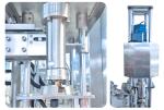 Pesticides 5-30L Drum Single Head Automatic Capping Machine