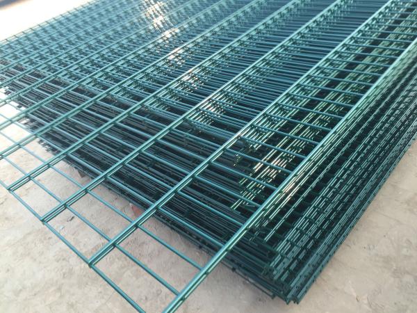 Quality Double Wire Mesh Fence /Twin Wire Mesh Fence /868fence/656fence for sale