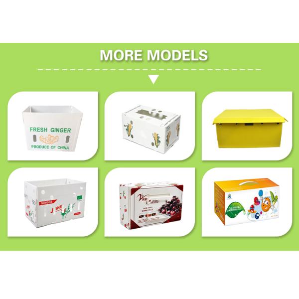 Customizable Fruit Corrugated Boxes Flat Surface