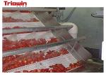 Strawberry processing machine Strawberry Beverage Processing Line homogenizer