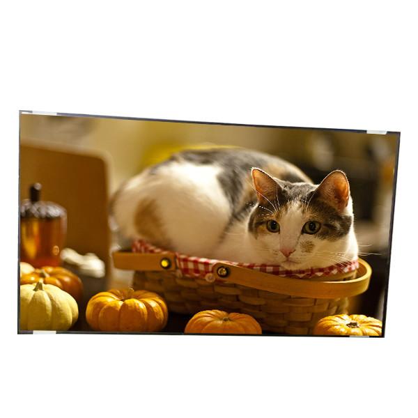 42.0 inch tft lcd display module P420HW02 V0 LCD Screen Panel for Digital