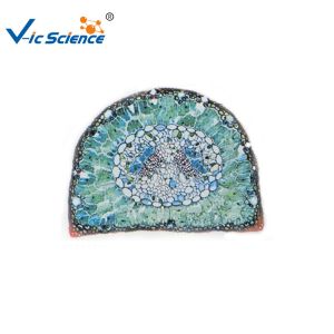 Professional Labs Sterile Microscope Slides Set 15pcs VIC09 OEM Service