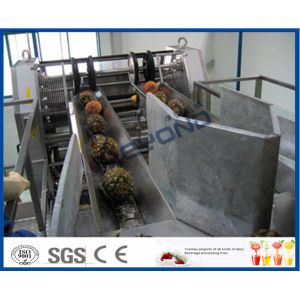 Stainless Steel Automatic CIP Cleaning Pineapple Processing Line with Aseptic