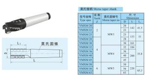 Dia 20 mm - 50 mm Indexable Cutting Tools , Chamfer Milling Machine Tools