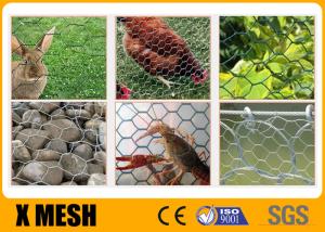 China Plain Weave Poultry Mesh Netting Chicken Wire Mesh Fence 1.5m X 25m on sale