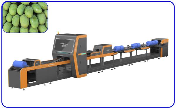Quality Computer Control Mango Sorting Machine 18.65KW 4 Channel Intelligent for sale