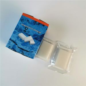 China Medical Disposable Absorbable Gelatin Hemostatic Sponge 70x50x10mm wholesale