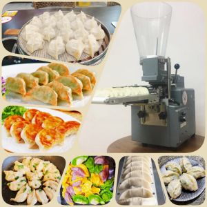 China Fried dumpling making machine, steamed dumpling making machine wholesale