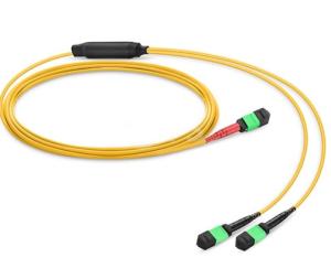 China MTP / MPO To Dual MTP / MPO Female 24 Fiber OS2 Single Mode Conversion Harness on sale