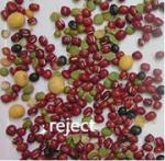 Color Sorter Red Bean Color Sorting Machine Automactic Intelligent CCD Color