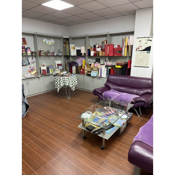 Foldable Non Woven shopping Tote Bags for Travel and Eco-Friendly