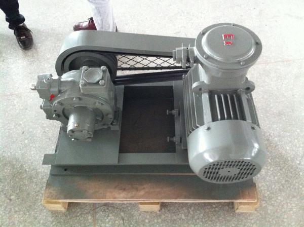 Quality Gas Station Use Hand Held Vacuum Pump LPGP-2000 With Innovative Cam Design for sale