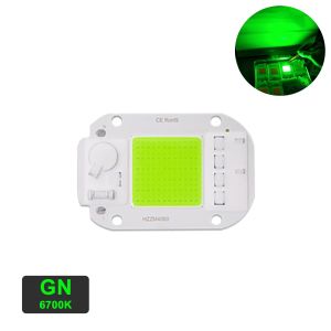 LED Cob Chip 50w Driverless AC 220V Troubleshooting Assistance