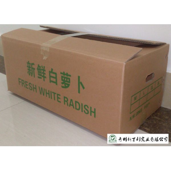 Organic Smooth Surface Fresh White Radish No Moldy Detoxification Function
