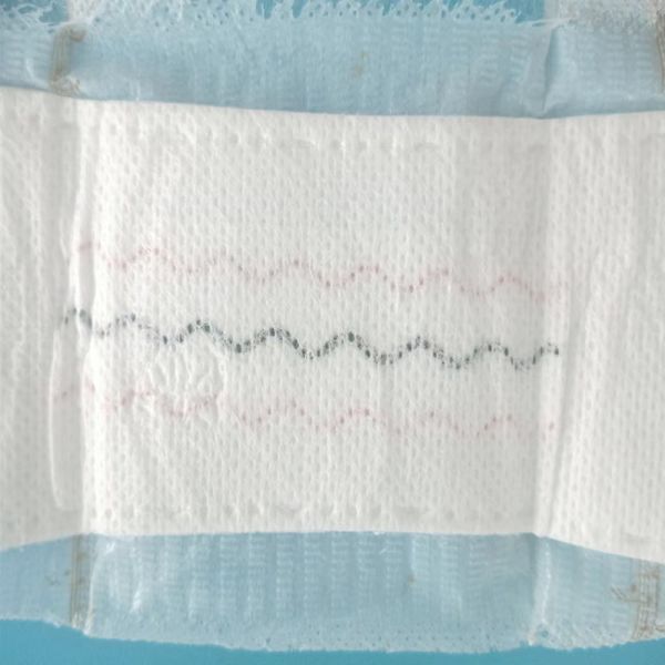 ISO9001 CE Certified Customized Herbal Anion Women's 2022 Incontinence Panty Liner