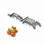 5 - 50 T/H Juice Making Machine Apple Processing Line For Apple / Pear Juice