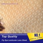 PLASTIC LENTICULAR fly-eye lenticular sheet lens array good quality 0.5MM PP fly