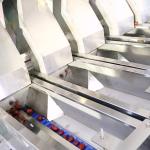 Large Yield 50Hz 7.5KW Date Sorting Machine 8 Lanes Food Sorting Equipment