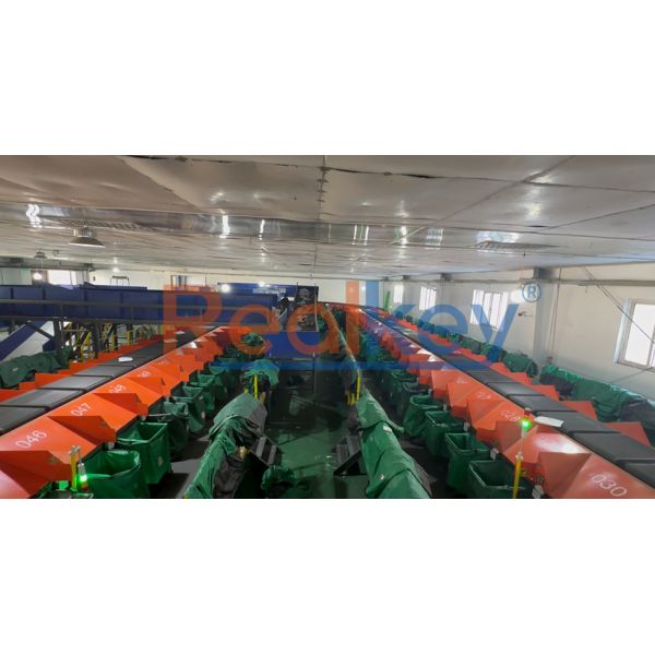 Cross Border E-Commerce Logistics Sorter System High Precision Item Classification