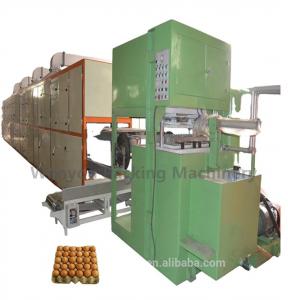 China Manufacturer Disposable Paper Molded Dry Fruit Tray Egg Tray Equipment wholesale
