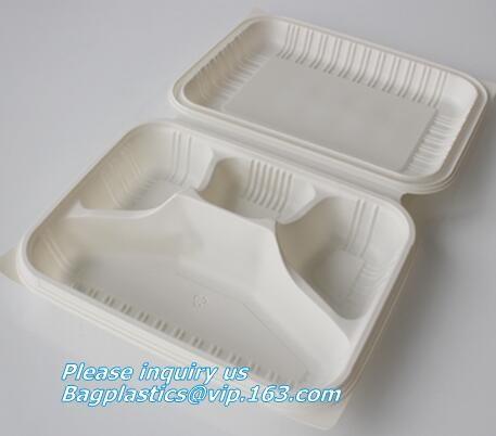Compartment hinged container sugarcane bassage pulp food serving box 750ml bassage take out container bagplastics packa