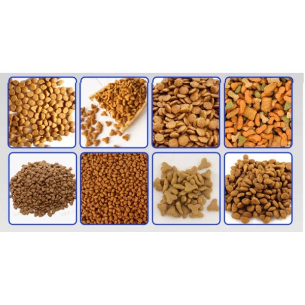 Dry Type Fish Feed Extruder Machine Aquatic Feed Processing Machine With CE