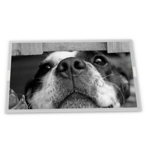 China 6.5'' / Lcd Panel LQ065T5BR07 Tft Lcd Screen wholesale