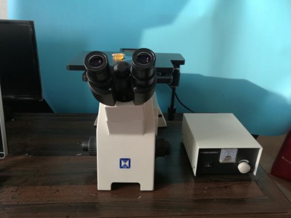 2000X transmitted and reflected Light Microscopy to observe the structure of
