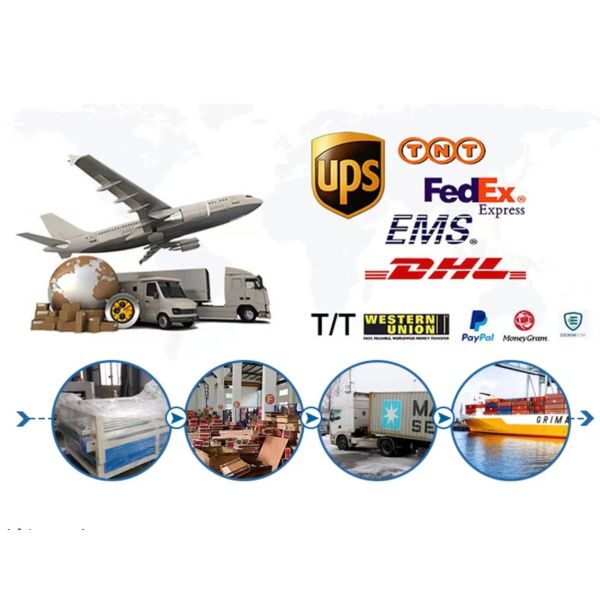 Auto Parts Brass Synchronizer Ring OEM 1297304484/1297 304 484 for Various Applications