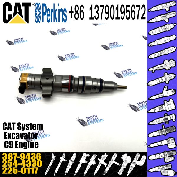 Common rail Injector Diesel fuel Injector Sprayer 293-4072 293-4071 387-9434 387-9436 for CAT C7 C9 Engine