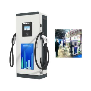 China Customized EV Charging Pile CCS 2 Fast Charger 100kw wholesale