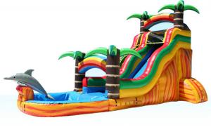 China Water Park 2 In 1 Pool  Kids Inflatable Water Colorful Slide Fire Retardant For Outdoor Activities wholesale