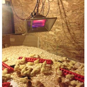 China 3900W Poultry Brooding Room LPG Heater Adjustable wholesale