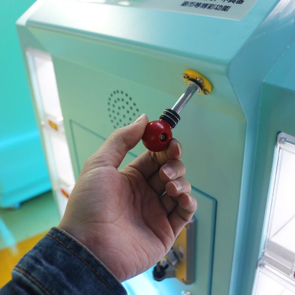 Pinball Prize Coin Operated Machine Cute Box Lottery or Score Optional