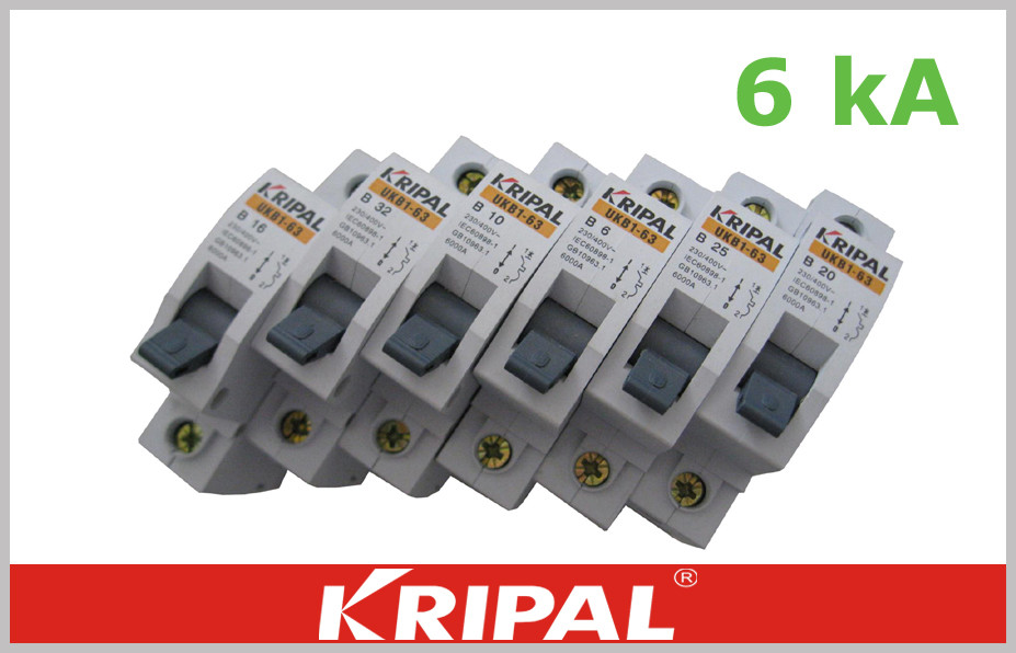 China Mini Circuit Breaker Single Pole Double poles three poles four poles Customized 1,3,6,10,16,20,25,32,40,50,63A wholesale