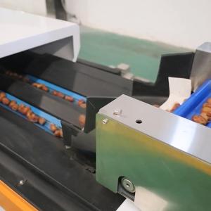 China Efficiency Redefined Date Grading Machinery with High Accuracy And High Capacity wholesale