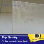 PLASTIC LENTICULAR fly eye 3d lenticular microlens array dot imaging cylindrical