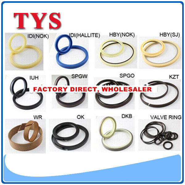 PTFE TFG TFP Hydraulic Gasket Seal Rock Breaker Seal Kit OEM ODM
