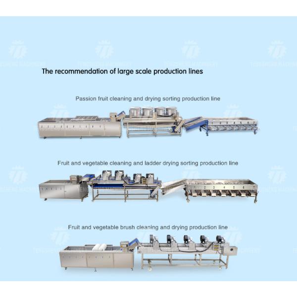 50PCS/Min Desktop Fish Processing Machine Grass Carp Peeler