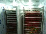 Fresh Chili Heat Pump Hot Air Dryer Machine Fruit And Vegetable Drying Machine