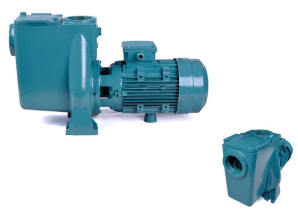 Quality Quiet Work Variable Speed Pool Pump , Anti Corrosive Swimming Pool Circulation Pump for sale