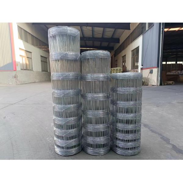 Galvanized Fixed Knot Field Fence Metal Iron White Garden Fence Aluminum Fence Low Carbon Steel Wire Main Iron Gate Designs