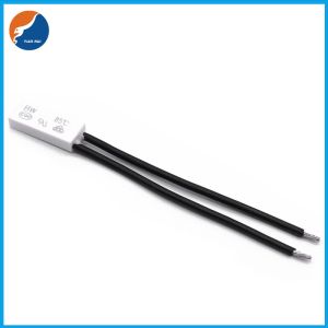 250V Thermal Overload Protector