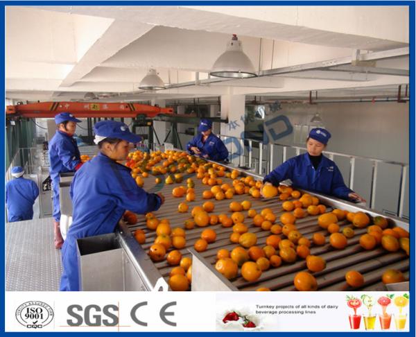 Quality Fruit Juice Processing Equipment With Citrus / Tangerines / Orange Juice Extractor Machine for sale
