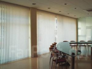 China Electric Dream Curtain Vertical Vertical Vertical Blinds Living Room Floor-To-Ceiling Window Blackout White Curtain on sale