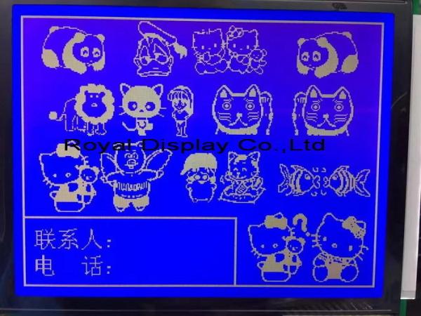 Rtp 320x240 Dots LCD Monochrome Panel FSTN Positive Graphic LCD Module With