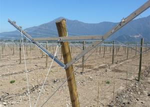 China Durable Steel Material Open Gable Trellis System / Table Grape Trellis Custom Length wholesale
