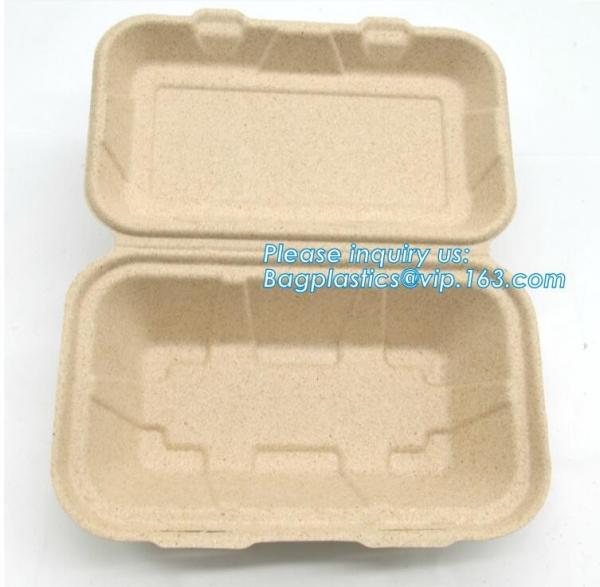 Compartment hinged container sugarcane bassage pulp food serving box 750ml bassage take out container bagplastics packa