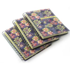 China Frosted Spiral Notebook Printing Plastic Cover Bound Diray Custom 65C wholesale
